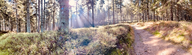 Karlova Studánka – lázeňské městečko, které vás okouzlí